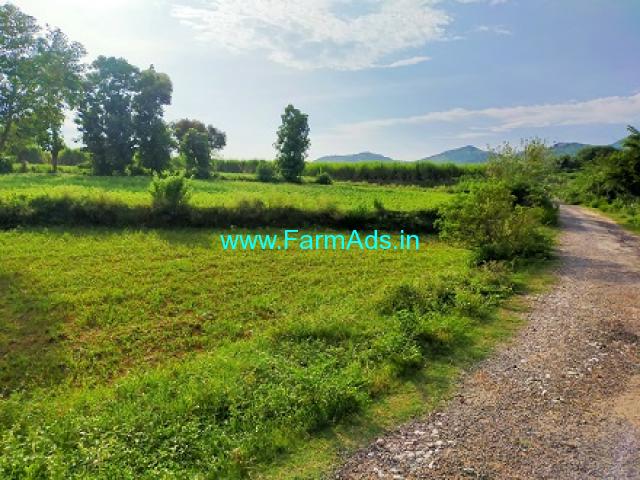 Agriculture Land 75 Cents for Sale Nearby Thiruthani Temple