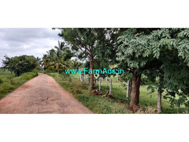 2 acres mango farm land for Sale at Gedhre
