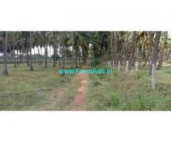 3.13 Acres Coconut Plantation with Canal Water for sale at  Aaranakatte