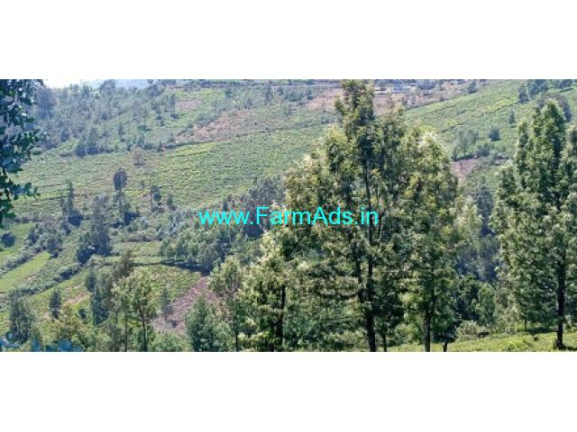 3.1 acres property for sale in Ooty