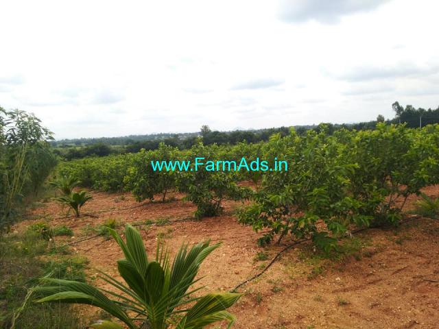 6.30 Acre developed Farmland sale near koratagere