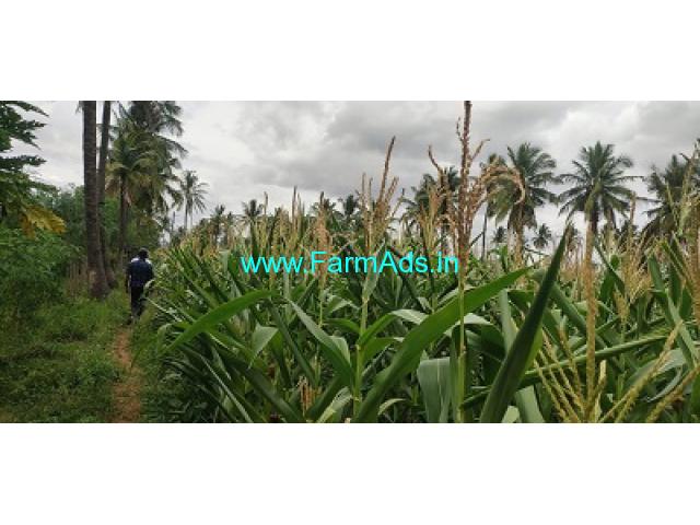 4 acre 10 kuntas Agriculture land for Sale Thondebhavi