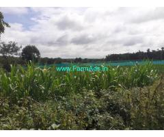 Village attached 1 acre farm land for sale at Gowdanakunte