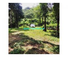 1 Acre Flat and jungle land Available For Sale In Chikmagalur