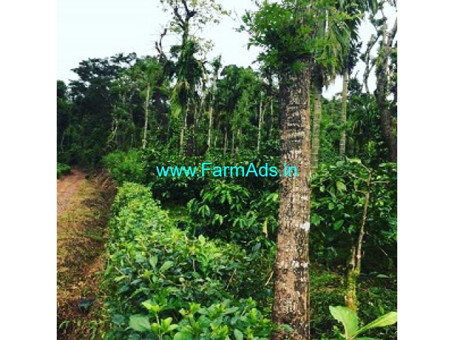 3 acre coffee estate for sale in Mudigere