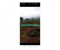 91 Cents Farm Property for sale in Ooty