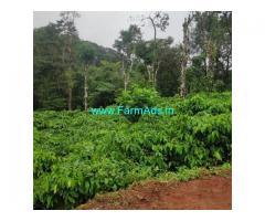 3 acre coffee estate for sale in Chikamagalur