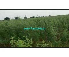 5 acres of agriculture land for Sale 5km from Chitguppa