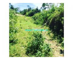 3.5 acre Agri land for sale in Mudigere