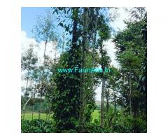 4 acre coffee estate for sale 40 km from Chikmagalur city