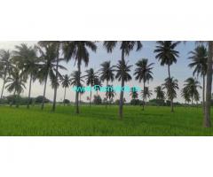 2.74 Acre Agriculture Land for Sale near Brammadesam