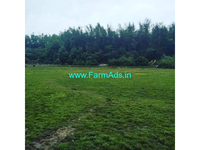 1.5 Acre Farm Agriculture Land For Sale in Chikmagalur