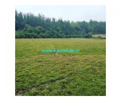 1.5 Acre Farm Agriculture Land For Sale in Chikmagalur