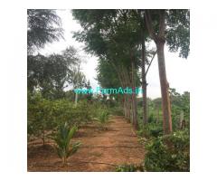 1 acre 26 guntas completely developed farm land for sale in Madure