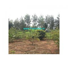 1 acre 26 guntas completely developed farm land for sale in Madure