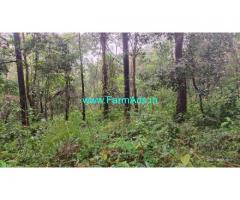11 acre land for sale in Mudigere , Chikkamagalur