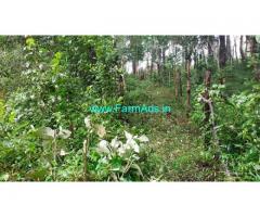 11 acre land for sale in Mudigere , Chikkamagalur