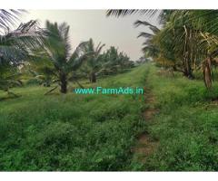 8 acre coconut land sale for Sale at Hiriyur
