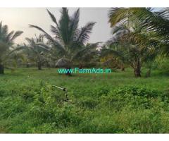 8 acre coconut land sale for Sale at Hiriyur
