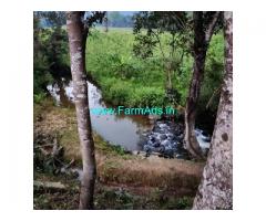 5 Acre young Areca Plantation With Agri land For sale Sakleshpur