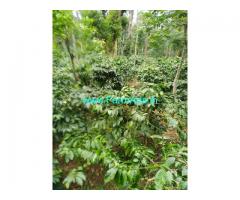 8 acres Coffee estate 2 Acres wetland for Sale at Coorg