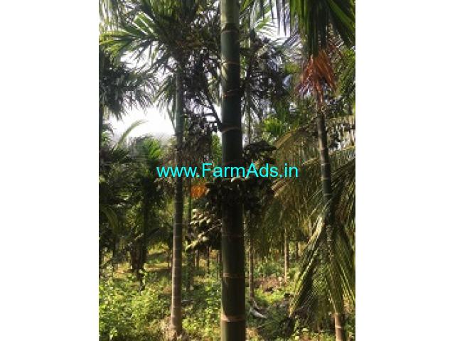 10.78 Acres Coconut Farm Land for Sale at Attapadi