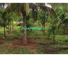10.78 Acres Coconut Farm Land for Sale at Attapadi