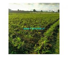 2 acre agriculture land for sale near Hagare