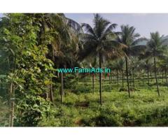 4.50 acres Farm Land for sale at Attappadi