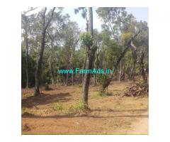1 Acre Road Side Farm Land For Sale near Chikmagalur