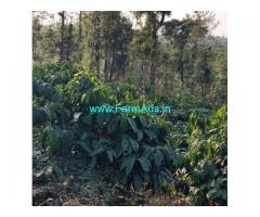 Half acre coffee plantation for sale in Sakleshpur