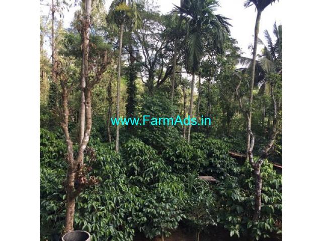 5 gunta Coffee land and house for sale at Mudigere