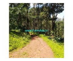 40 acre coffee estate for sale near Chikmagalur
