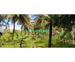 12 Acres Coconut farmland for sale 5 km from Hunsur