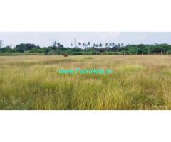 25 acres Agri Farm Land for Sale near Dindigul