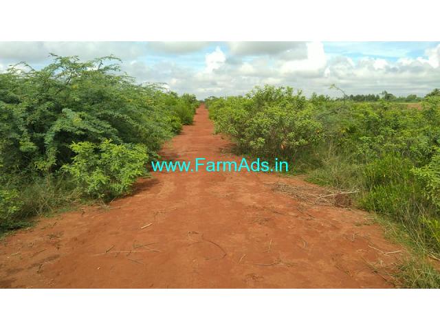 6.50 Acres Agriculture Red Soil property Sale Thanjavur