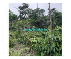 14 acre coffee estate for sale in Mudigere