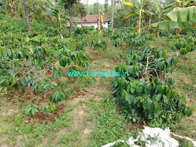 9 guntas coffee plantation with house sale in Belur