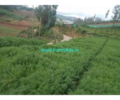3 Acres Tea Estate Property for sale in Ooty,Nilgiris