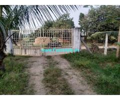 3.90 Acres Property Farm land for Sale near Sathyvadi