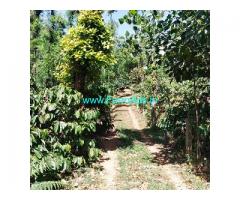6.5 acre well maintained coffee estate for sale in Mudigere