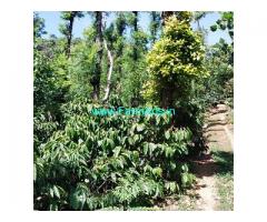 6.5 acre well maintained coffee estate for sale in Mudigere