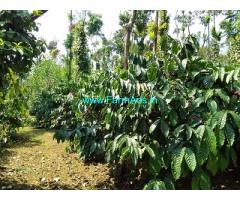 6.5 acre well maintained Robusta and pepper plantation sale in Mudigere