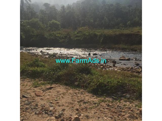 3.5 acre coffee and Areca plantation for sale in Kalasa road