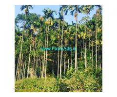 3.5 acre coffee and Areca plantation for sale in Kalasa road