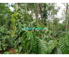 5 acres Robusta Coffee plantation sale in Aldur