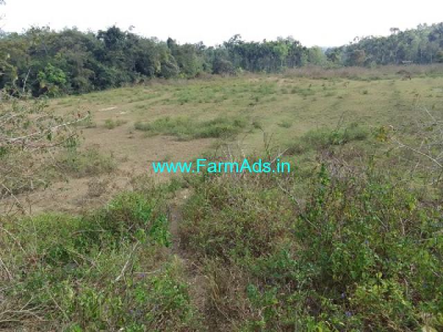 6.5 Acres plain land for sale in Mudigere