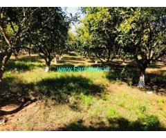 14 acres Mango Garden for Sale at Angadi Kistapur Village