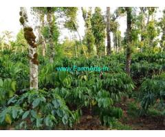 2 acre well maintained Robusta plantation sale in Mudigere