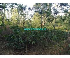 12.5 acre average maintained Robusta plantation sale in Chikmagalur